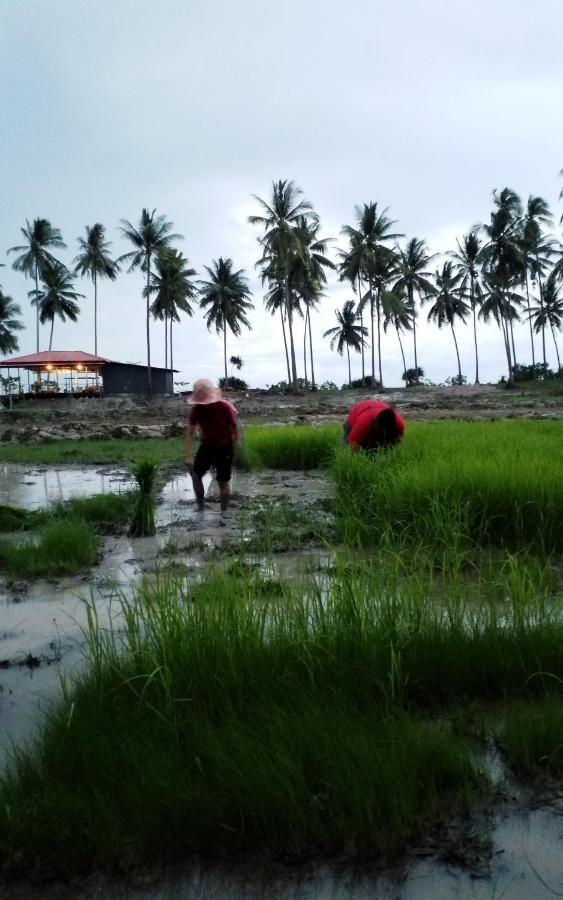 מלון I - Talay Taling Ngam Samui - เขา ป่า นา เล ตลิ่งงาม สมุย מראה חיצוני תמונה