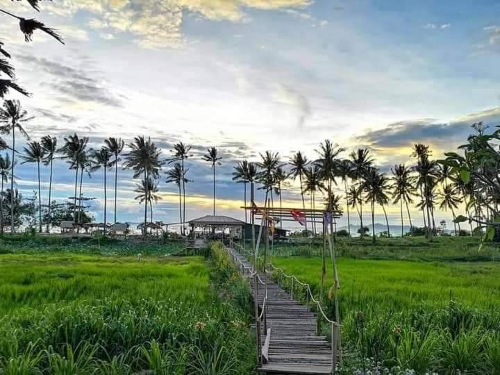 מלון I - Talay Taling Ngam Samui - เขา ป่า นา เล ตลิ่งงาม สมุย מראה חיצוני תמונה