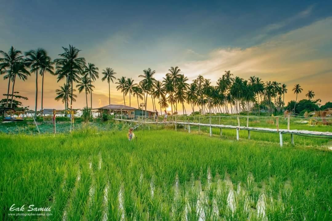 מלון I - Talay Taling Ngam Samui - เขา ป่า นา เล ตลิ่งงาม สมุย מראה חיצוני תמונה