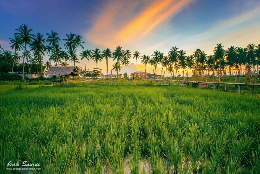 מלון I - Talay Taling Ngam Samui - เขา ป่า นา เล ตลิ่งงาม สมุย מראה חיצוני תמונה